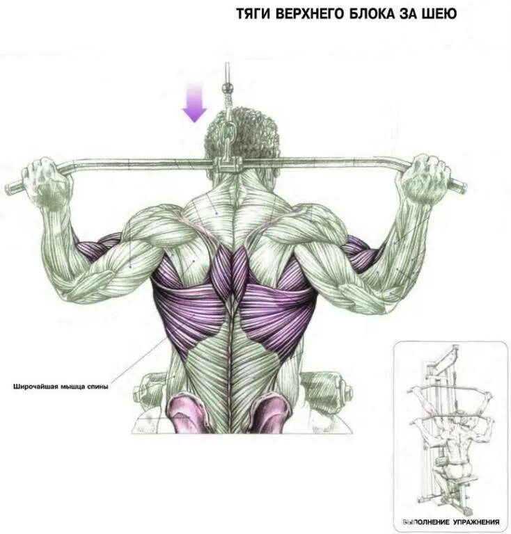 Вертикальная тяга за голову. Тяга вертикального блока узким хватом мышцы. Тяга блока узким хватом на спину. Тяга верхнего блока широким хватом. Тяга вертикального блока широким хватом.