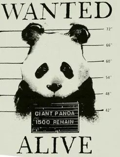 It is against the law to endangered