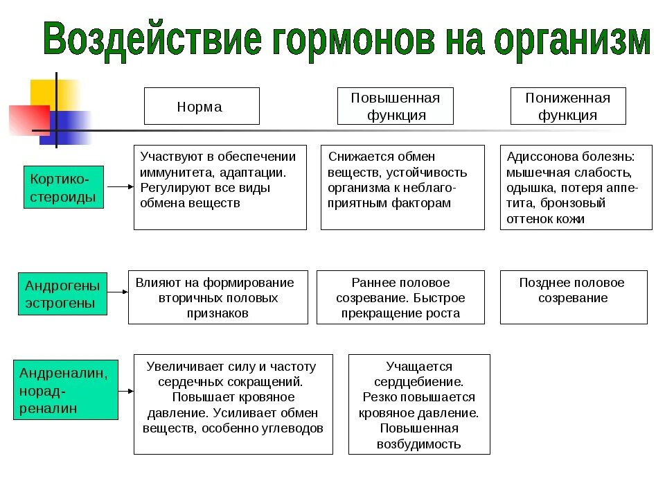 Действие гормонов на организм. Гормоны и их влияние на организм. Влияние гормонов на органы. Воздействие гормонов на организм. Гормоны адаптации