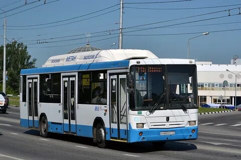 18 автобус белгород