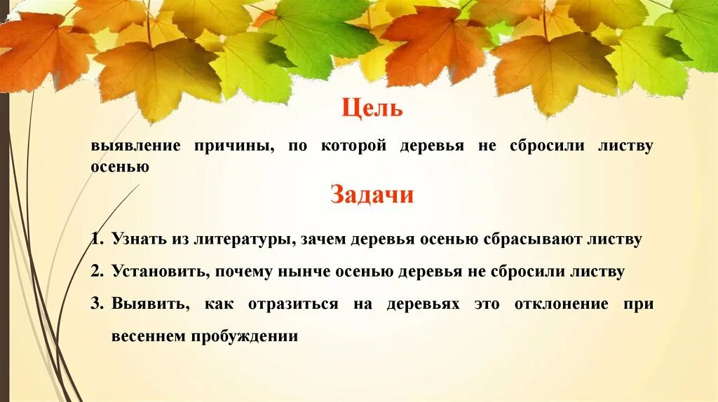 Почему растения сбрасывают листья. Презентация почему опадают листья. Почему деревья сбрасывают листву осенью. Почему деревья сбрасывают листья осенью. Почему листья сбрасывают листву осенью.