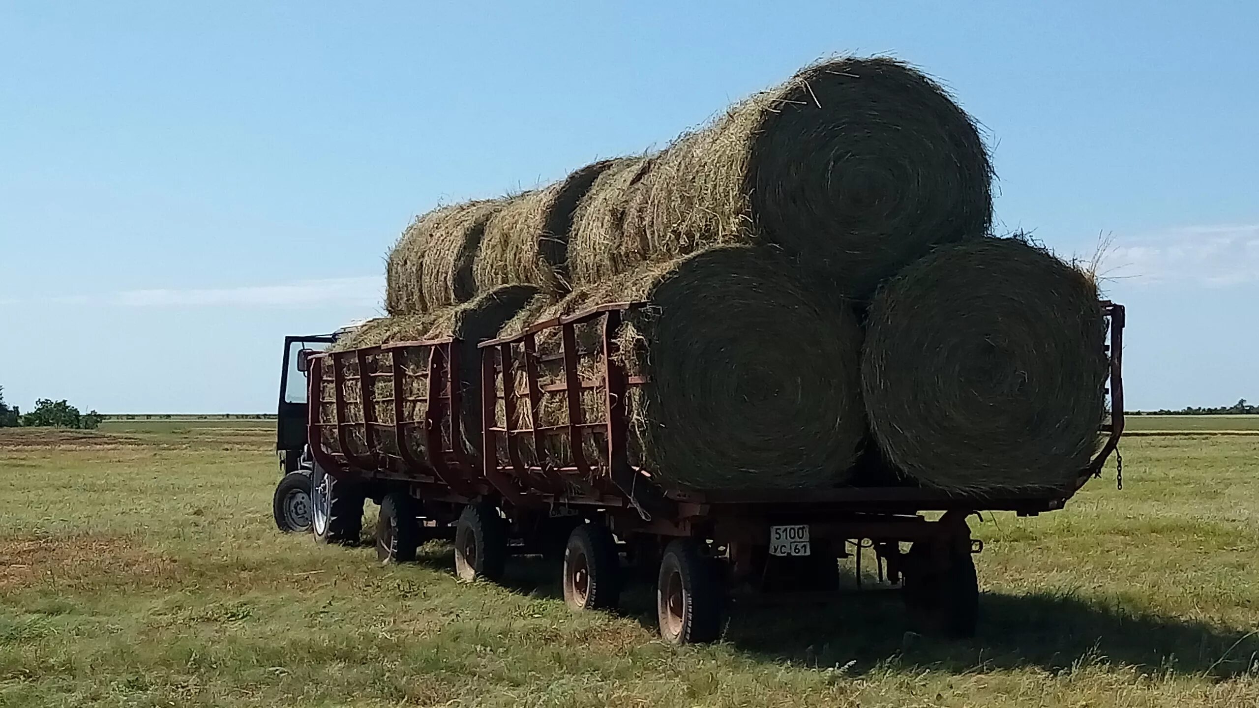 2 ПТС для тюков сена. Телега 2 ПТС 4 для рулонов сена. Телега 2птс4 переделанная под рулоны сена. Прицеп 3птс-12 для перевозки рулонов сена. Погрузка сена