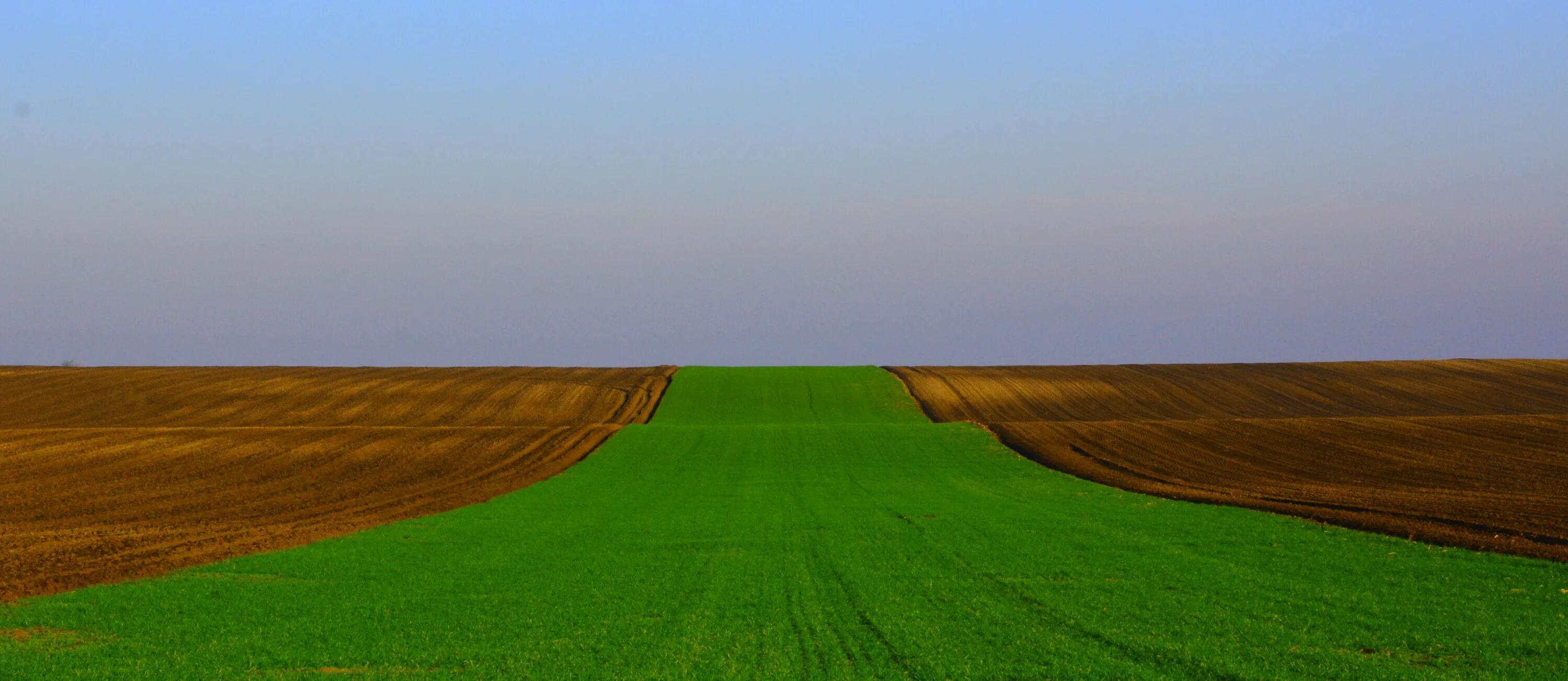 Fields area. Зеленое поле посевы. «Зеленые холмы». Дорога в поле вид сверху. Зеленые поля посевы вид сверху.