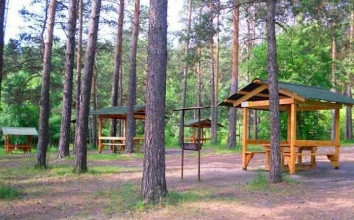 Заельцовский парк Новосибирск беседки. Беседки в Заельцовском парке Новосибирск. Заельцовский парк беседка 23. Заельцовский парк беседки