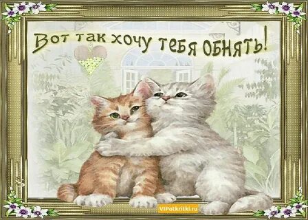 Я тебя дружу ок