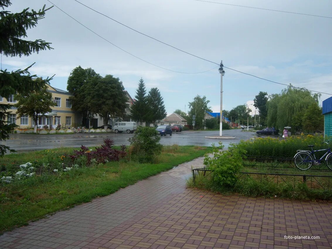 Погода в солнцево