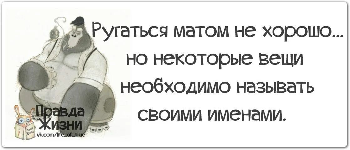 Жить без матов. Ругаться матом юмор. Не ругаться матом. Картинка кто материться. Материться не хорошо.