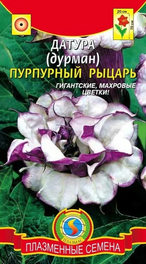 Дурман индийский. Датура пурпурный рыцарь. Датура мирабилис. Дурман махровая смесь. Дурман трубадур 0,5 г.