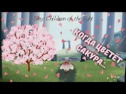 Дни солнечного света скай