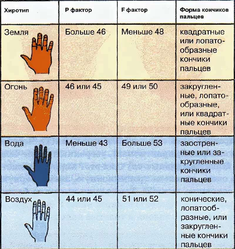 Характеристика руки человека
