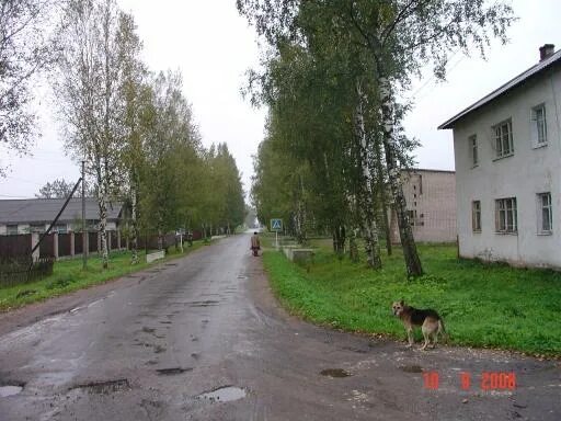 Погода в кневицах новгородская область демянский. Кневицы Новгородская. Поселок Кневицы Демянский район. Кневицы Демянский район Новгородская область. Поселок Кневицы Новгородская область.