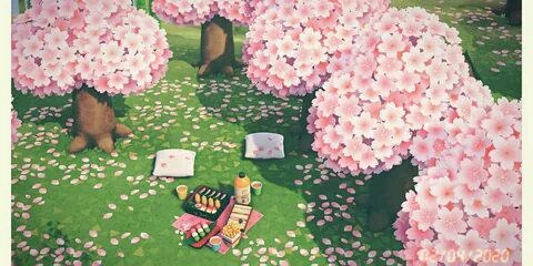 A flowery path for the devastated