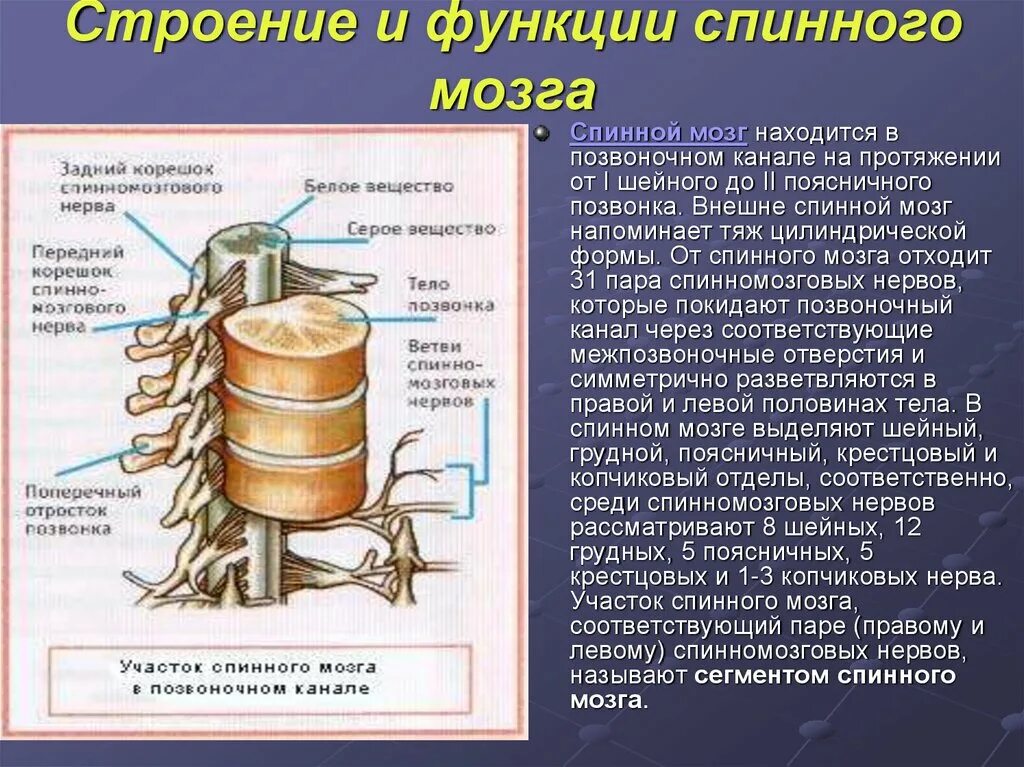 Какую функцию выполняет канал