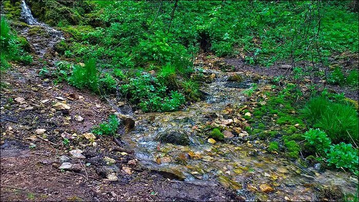 Долина семи ручьев золотьково. Горные реки убин. Долина семи ручьев верея. Долина семи ключей. Долина семи ручьев наро фоминск.