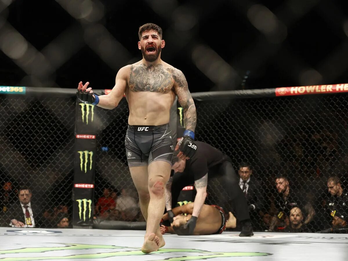 Юфс 7. Топурия боец ufc. Бойцы юфс. Топурия боец ufc. Топурия боец ufc.