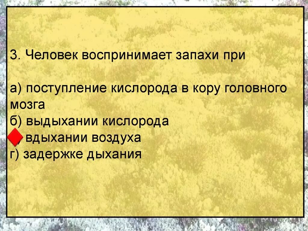 В какой момент человек воспринимает запахи