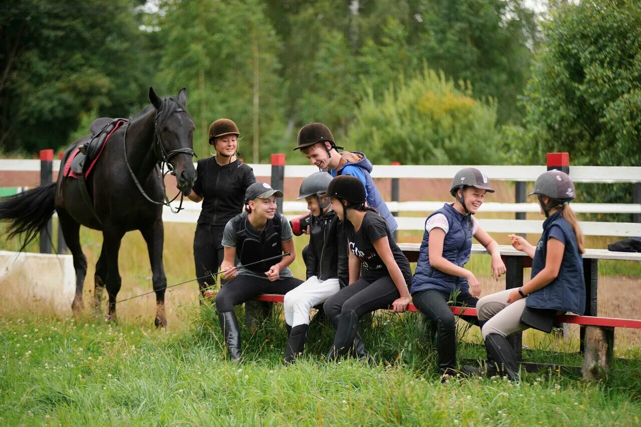 кона спортивный клуб вольный ветер. вольный ветер кемерово кск. вольный ветер лошади. вольный ветер лошади. вольный ветер лошади.