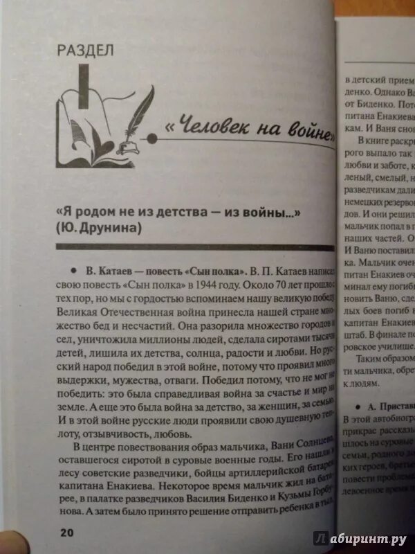 Любовь без прикрас 9 глава. Амелина итоговое сочинение. Сравнительный рассказ сочинение о Биденко и Енакиева.