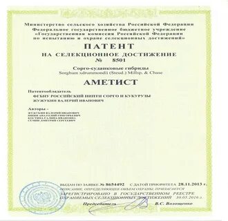Срок патента на селекционное достижение