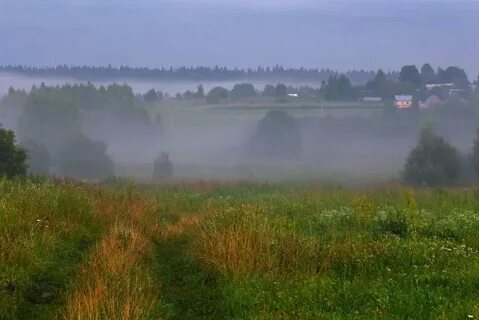 Туманы сели как надо песня