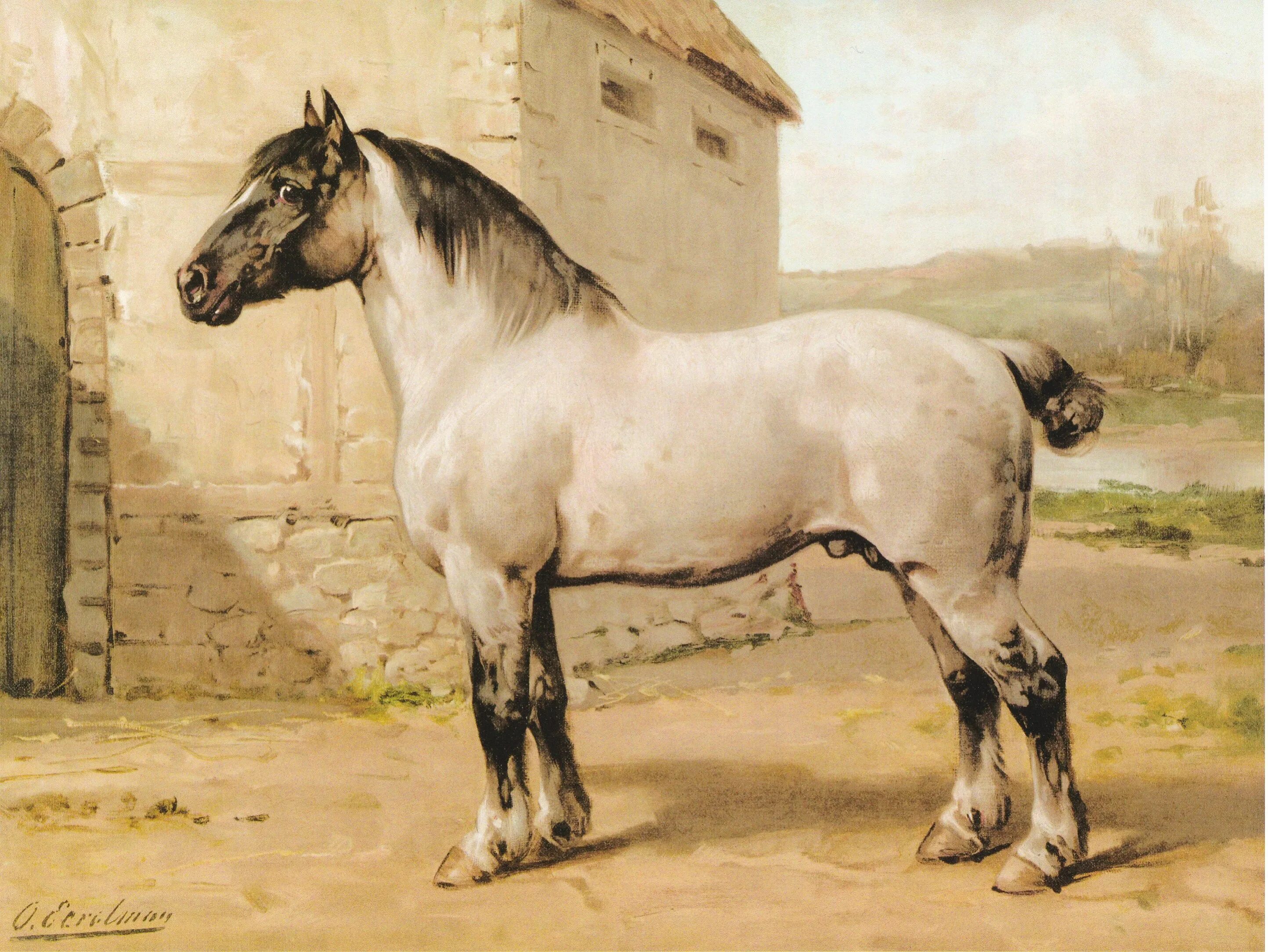 Wiki horses. Художник Отто Эрельман лошади. Бретонская лошадь.