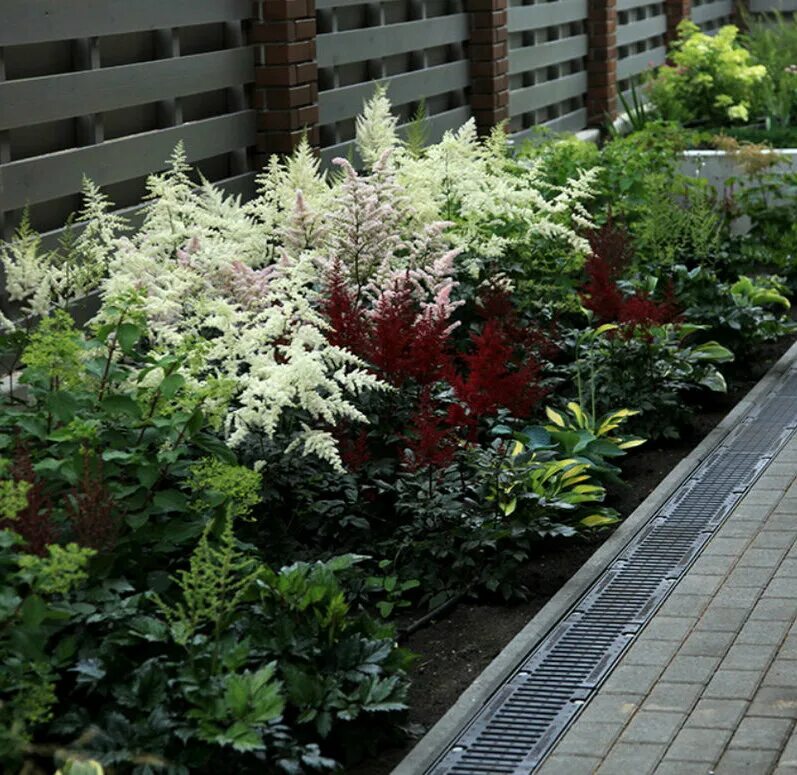 Budget-Friendly Flower Bed Landscape Ideas