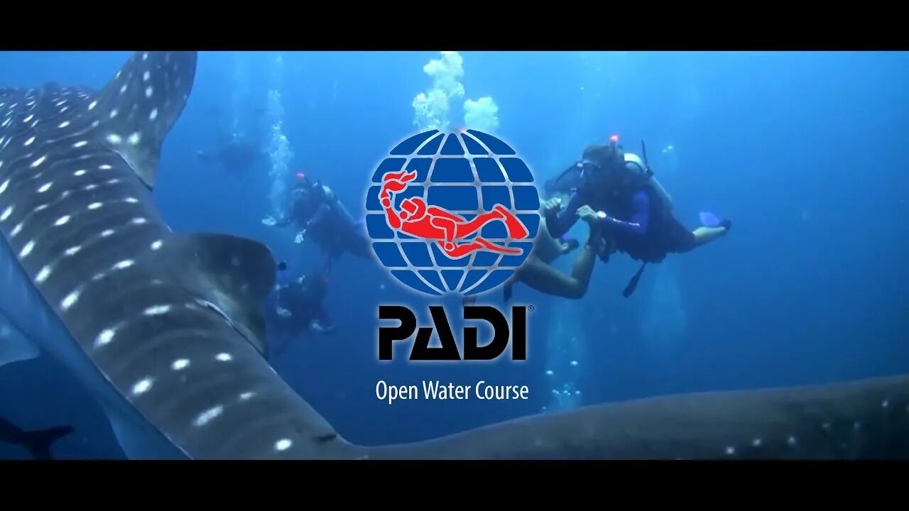 Padi open. Padi open Water. Padi OWD. Certificate Padi open Water. Сертификат Padi open Water.