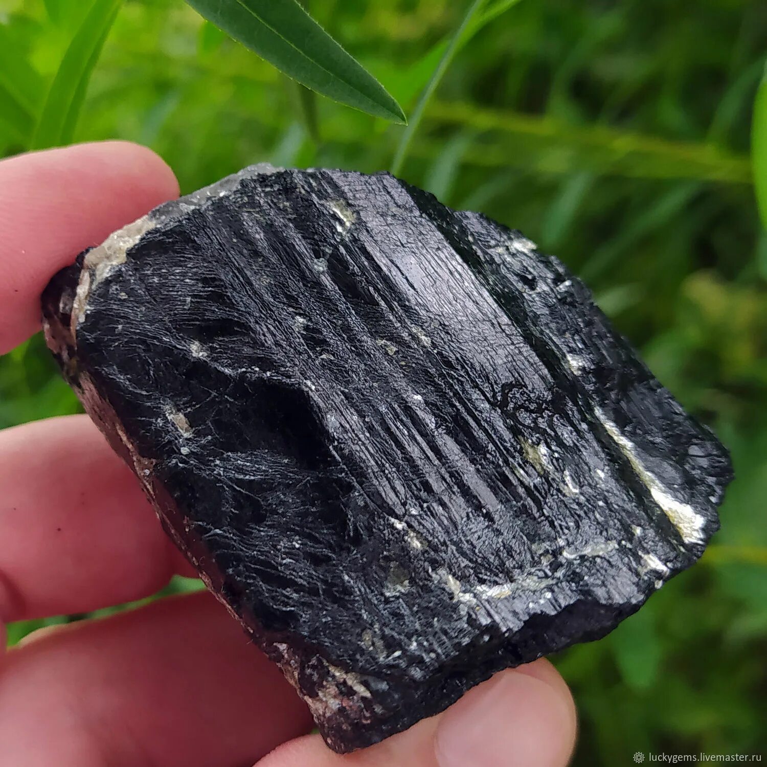 "Шерл" - черный турмалин. Ведьмин камень черный турмалин. Шерл. Шерл (турмалин), Кристалл 1 см.