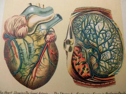 Original page