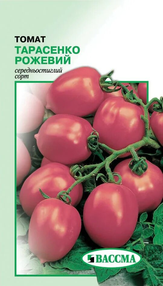 Томат тарасенко семена. Семена тарасенко. Томат тарасенко семена. Гибрид тарасенко 2. Томат гибрид тарасенко юбилейный.