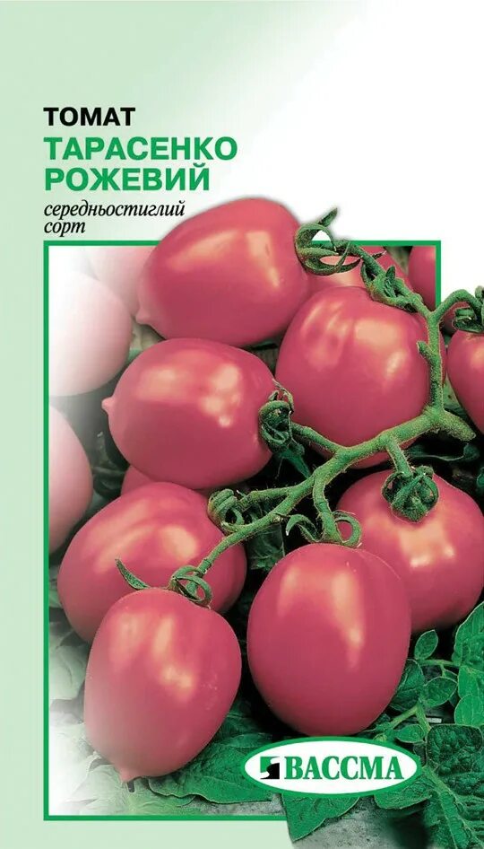 Помидоры Тарасенко 2. Помидоры сорт Легенда Тарасенко. Семена томатов Легенда Тарасенко. Семена тарасенко купить