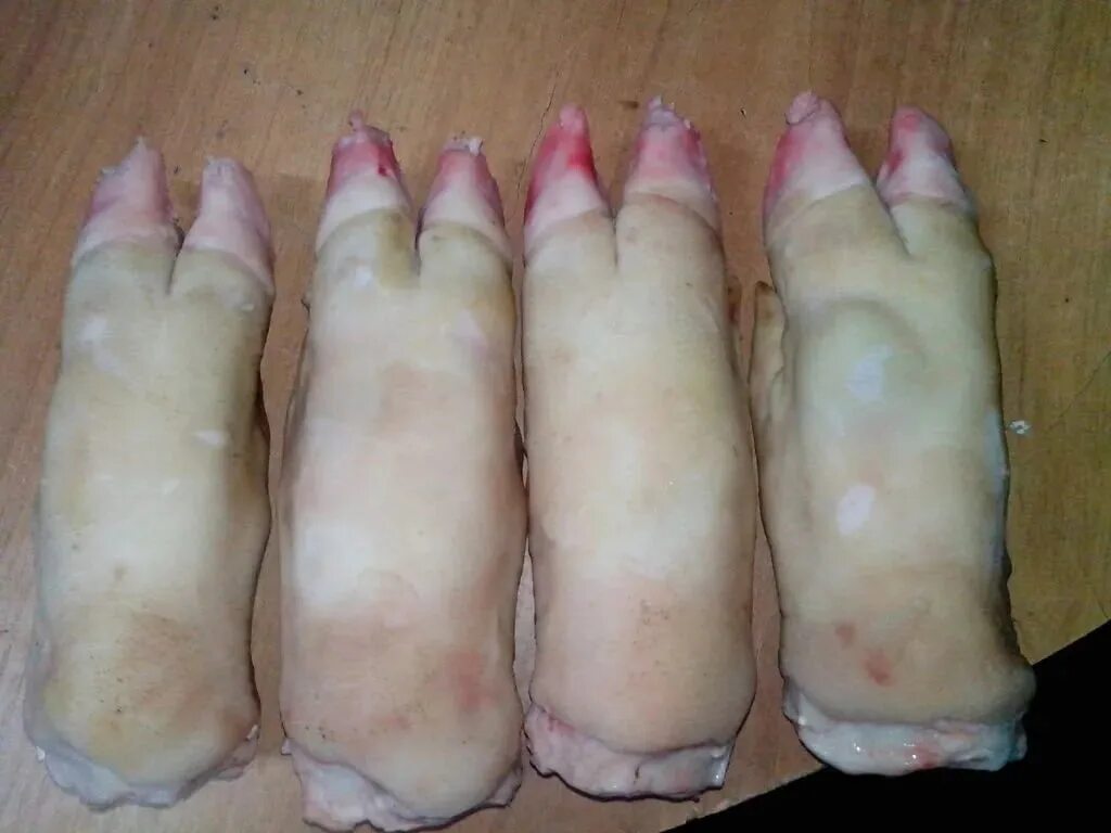 Ноги свинки