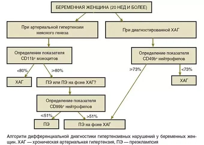Давление у беременных в третьем триместре. Норма давления у беременных в 3 триместре. нормальное давление у беременных 1 триместр. норма давления у беременных 2 триместр. норма ад у беременных в 3 триместре.