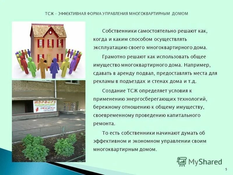 Тсж тема. Тсж тема. Управление тсж. Тсж тема. Тсж мкд.