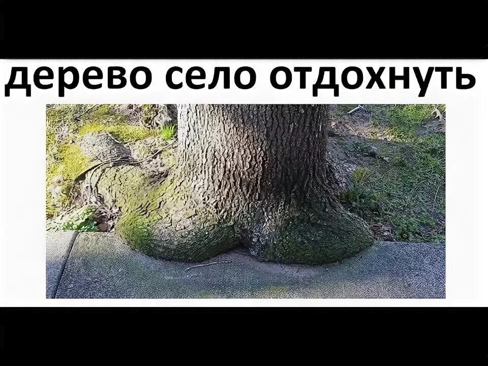 Демотиваторы усталость. Кот на даче. Уставший енот. Переписать предложения расставив знаки препинания. Девушка в огороде.