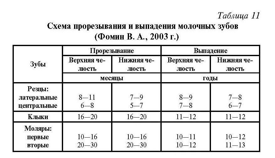 Сроки прорезывания постоянных зубов у детей - таблица