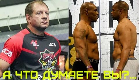 Бой тайсона и емельяненко дата