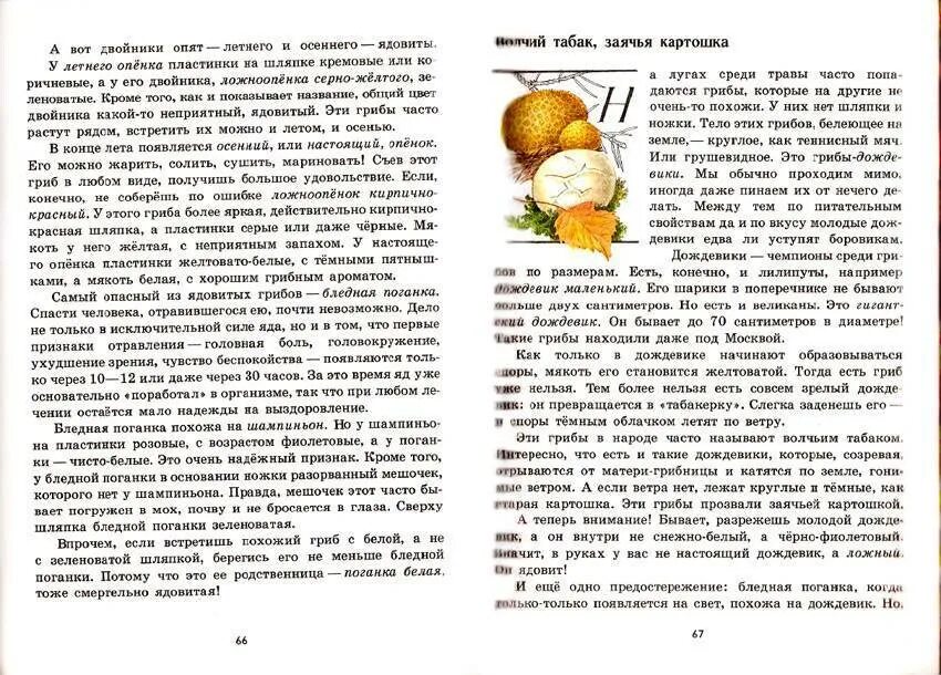 Прочитай текст грибы