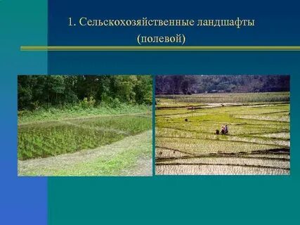 Примеры сельскохозяйственных ландшафтов