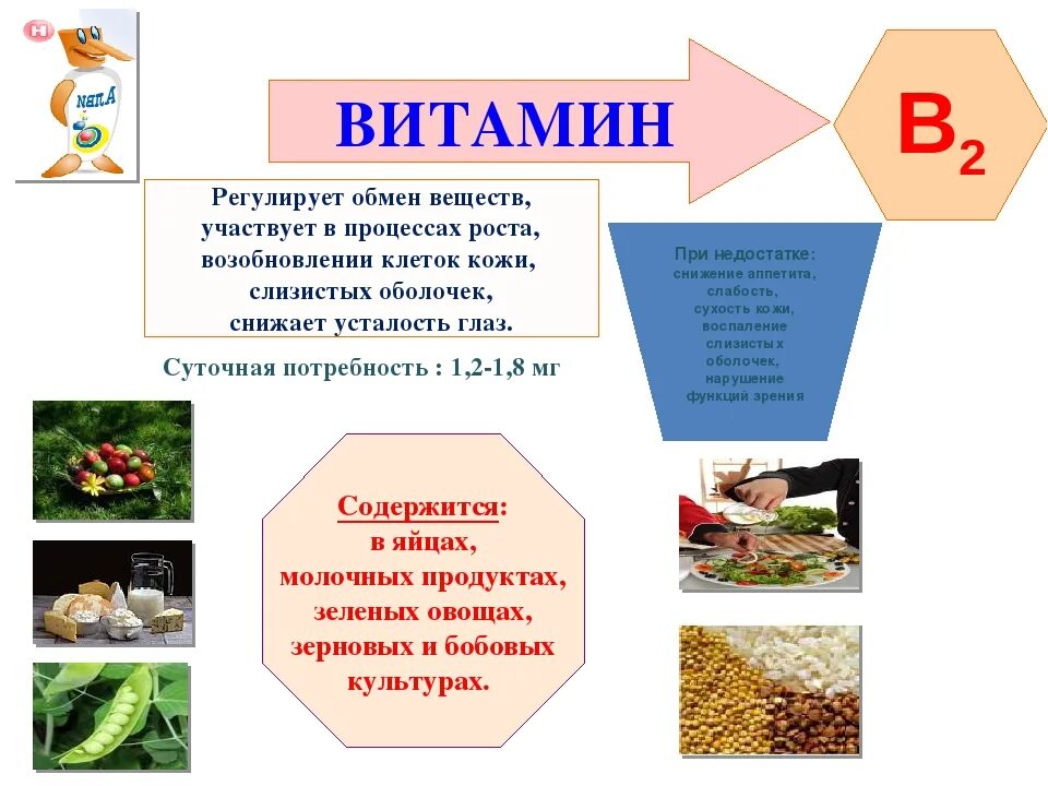 Презентация на тему витамины. Презентация по биологии на тему витамины. Витамин к презентация по биологии. Витамины 8 класс презентация.