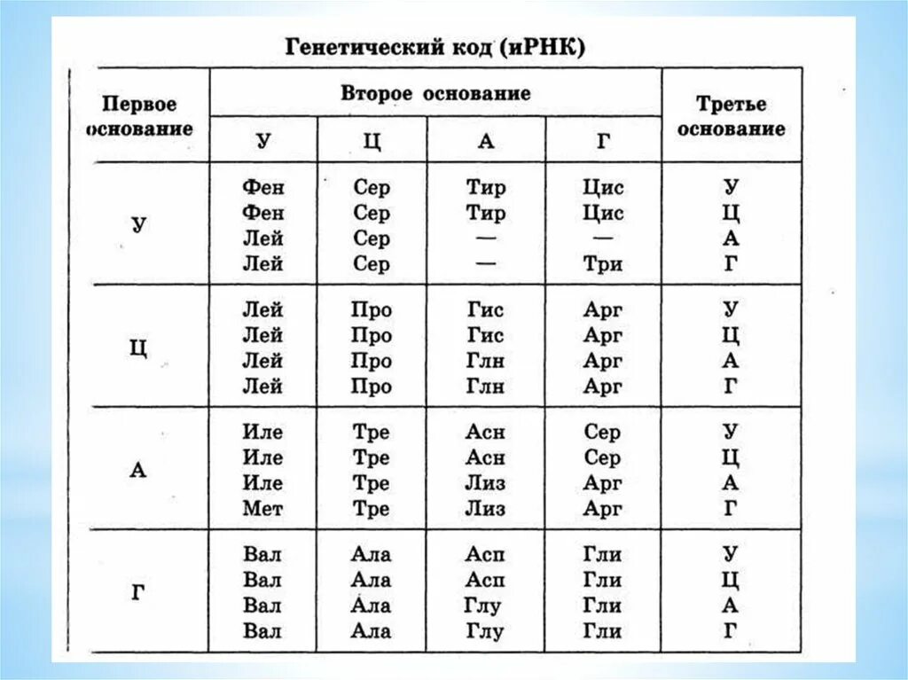 Таблица генетического кода РНК по биологии. Таблица генетического кода ИРНК И ДНК. Таблица генетического кода ИРНК ЕГЭ. Аминокислоты ДНК И РНК таблица.