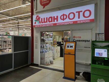 Net москва