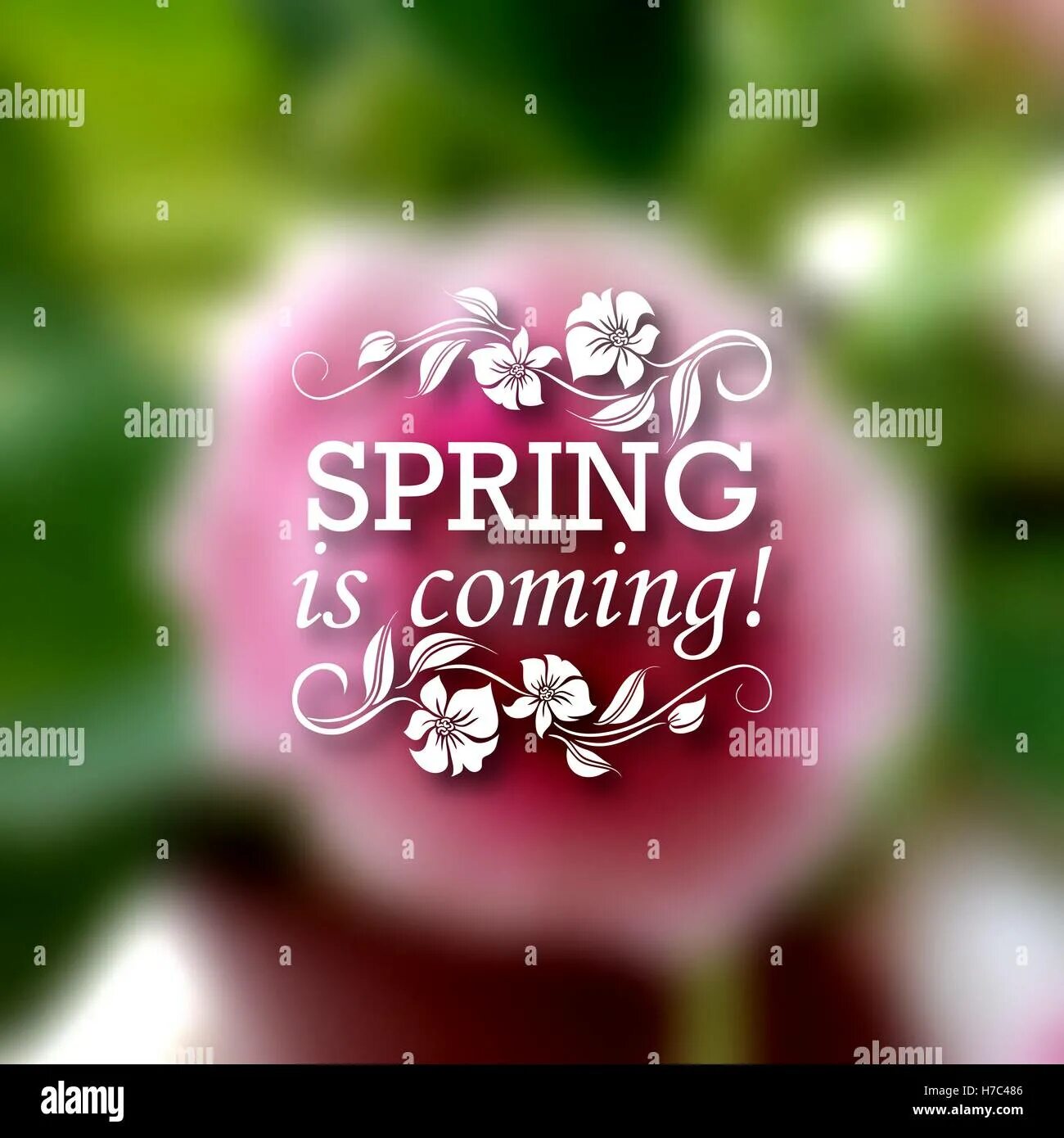 Spring to come. Spring soon картинки. spring is coming. spring is soon come. spring spring is coming soon.