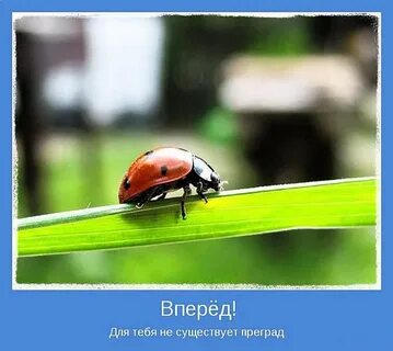 Мотиватор