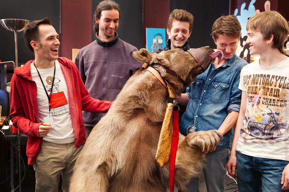 бурый медведь кадьяк. медведь с медом. кермодский медведь (ursus americanus kermodei). Visiting the bear. необычные животные в метро.
