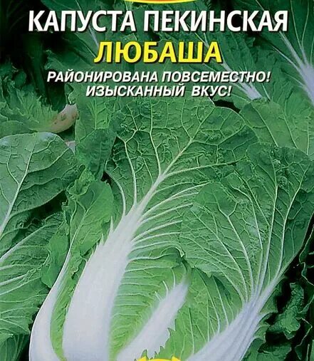 Пекинская любаша. Капуста пекинская сорт любаша. капуста пекинская любаша уральский дачник. капуста пекинская любаша 0,5гр10. капуста пекинская любаша 0,5г поиск.