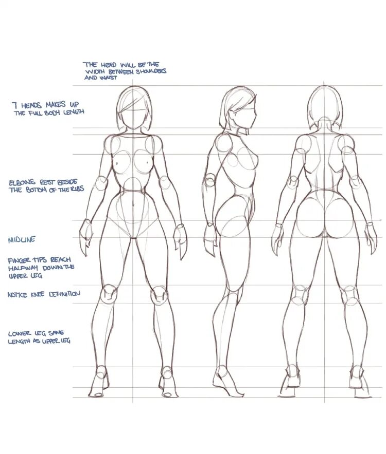 Пропорции девушки референс. Пропорции тела референс. Референс анатомия пропорции. Пропорции женского тела референс для художника. Референс фигура