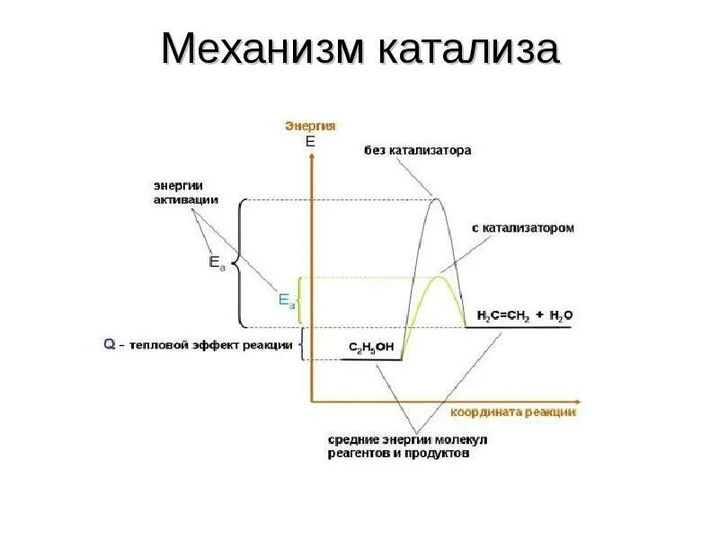 Механизм катализа. Схема механизма гомогенного катализа. Механизм катализа схема. Механизм катализа катализатор.