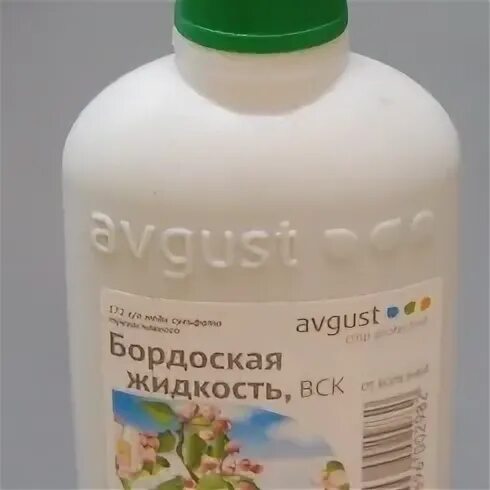 Индиго бордосская