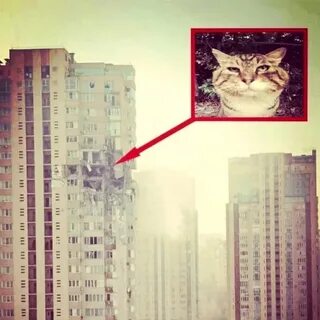 Кого больше не будет вообще